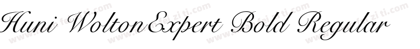 Huni WoltonExpert Bold Regular字体转换